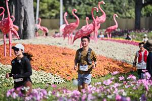 BIB: 
                            <button type="button" onclick="openModal(27793475)" class="btn btn-primary btn-sm float-right btn-popup" data-toggle="modal" data-target=".modal-high-quality">
                        <i class="fas fa-shopping-cart"></i> Add to Cart
                    </button>
                                            <button type="button" onclick="isThisMe(27793475, true)" class="btn btn-success btn-sm float-right btn-popup btn-isme hidden" data-toggle="tooltip" data-placement="bottom" title="นี่คือรูปของคุณใช่ไหม คลิกที่นี่เพื่อเอาเข้าอัลบั้ม">
                        <i class="fas fa-plus"></i> Add to album
                    </button>
                    <button type="button" onclick="isThisMe(27793475, false)" class="btn btn-warning btn-sm float-right btn-popup btn-isnotme hidden">
                        <i class="fas fa-ban"></i> Remove from album
                    </button>